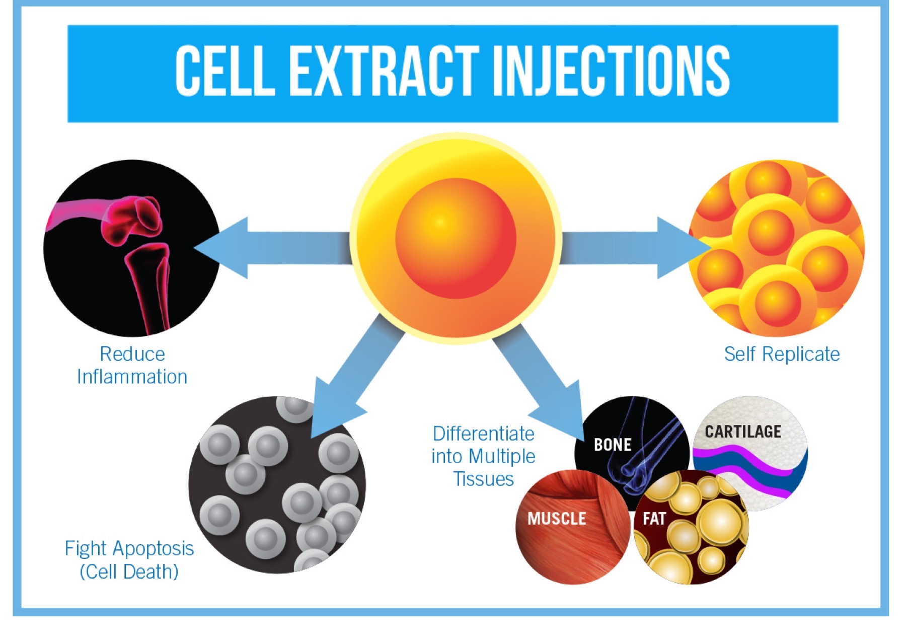 Cell Extract Injections & IVs